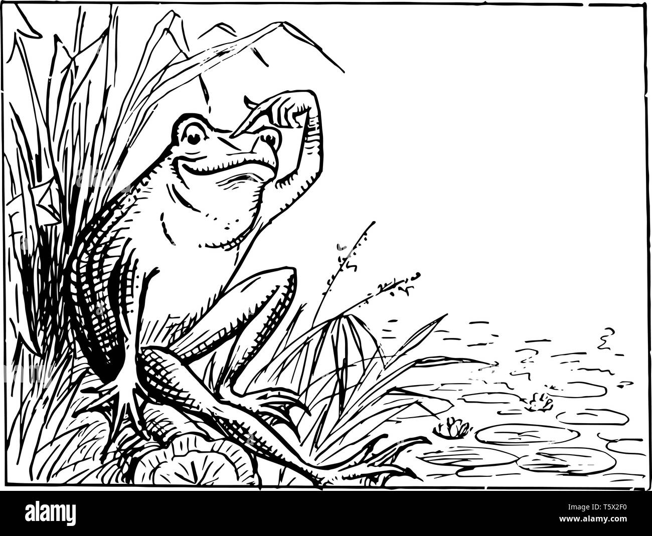 Frosch sitzend auf Bank und Kratzen Kopf dieser Szene zeigt einen Frosch sitzen auf der Bank von einem Teich und kratzte seinen Kopf vintage Strichzeichnung oder engravi Stock Vektor