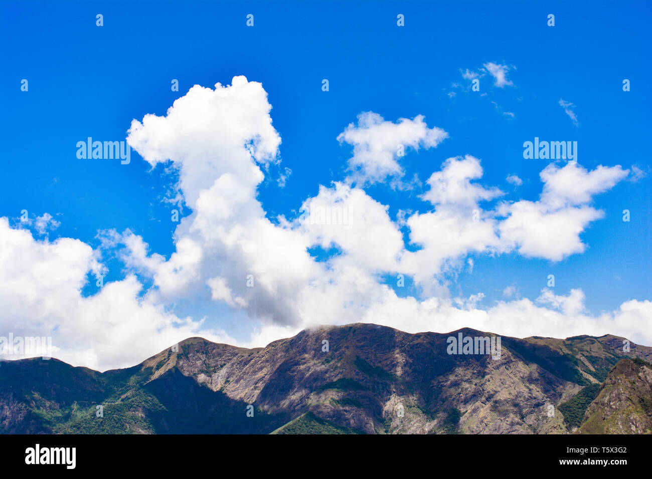 Schöne Landschaft von Munnar Stockfoto