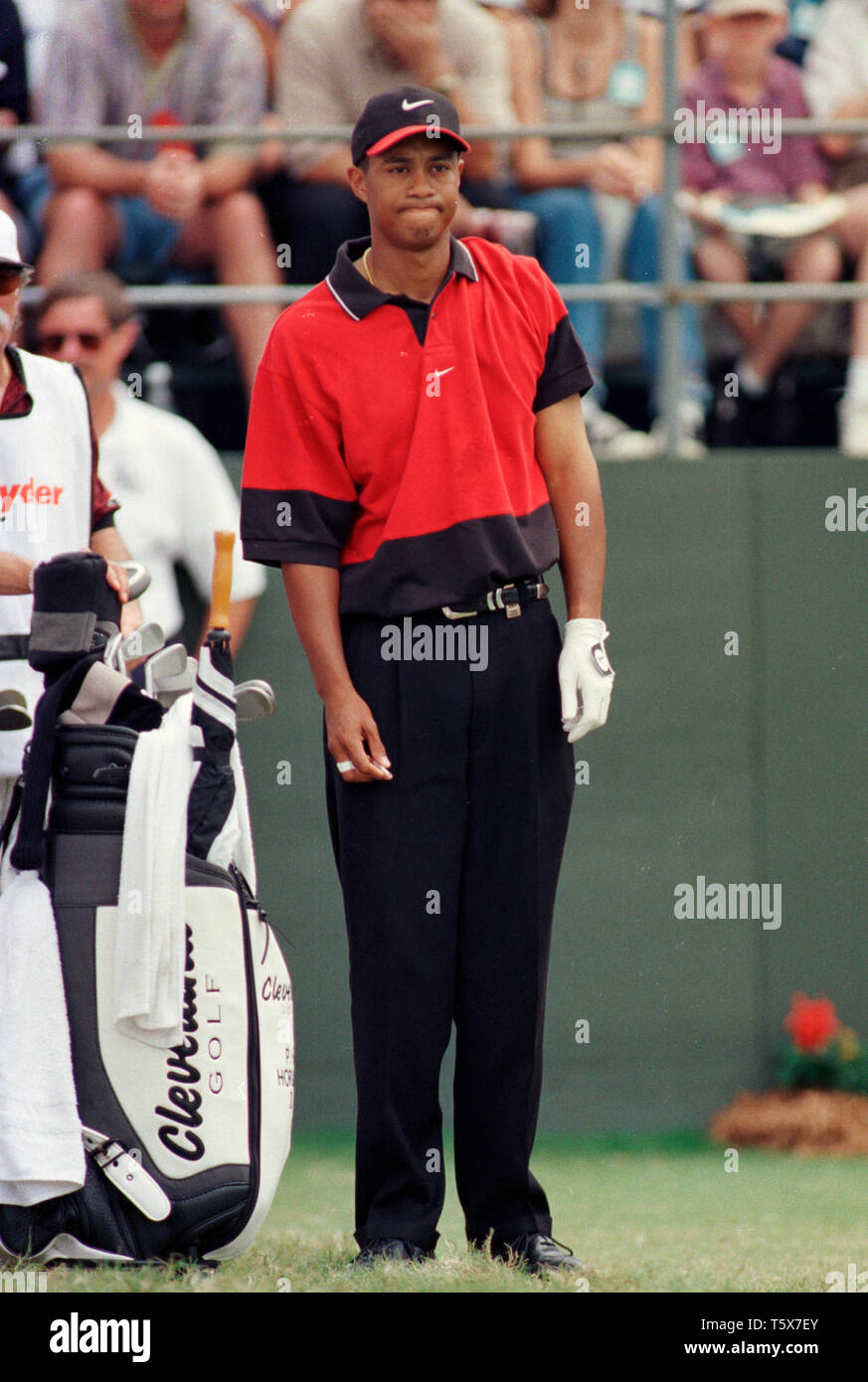 Tiger Woods in Aktion am Doral Ryder gold Meisterschaft am Doral Country Club in Miaqmi, Florida im Jahre 1998. Stockfoto