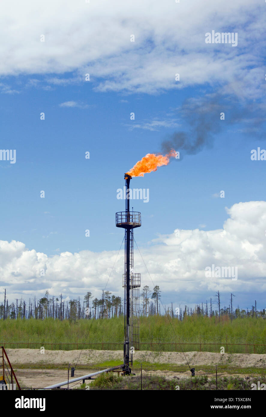 Tankstelle. Raffinerieanlagen. Ölindustrie. Flaming Gasbrenner Stockfoto