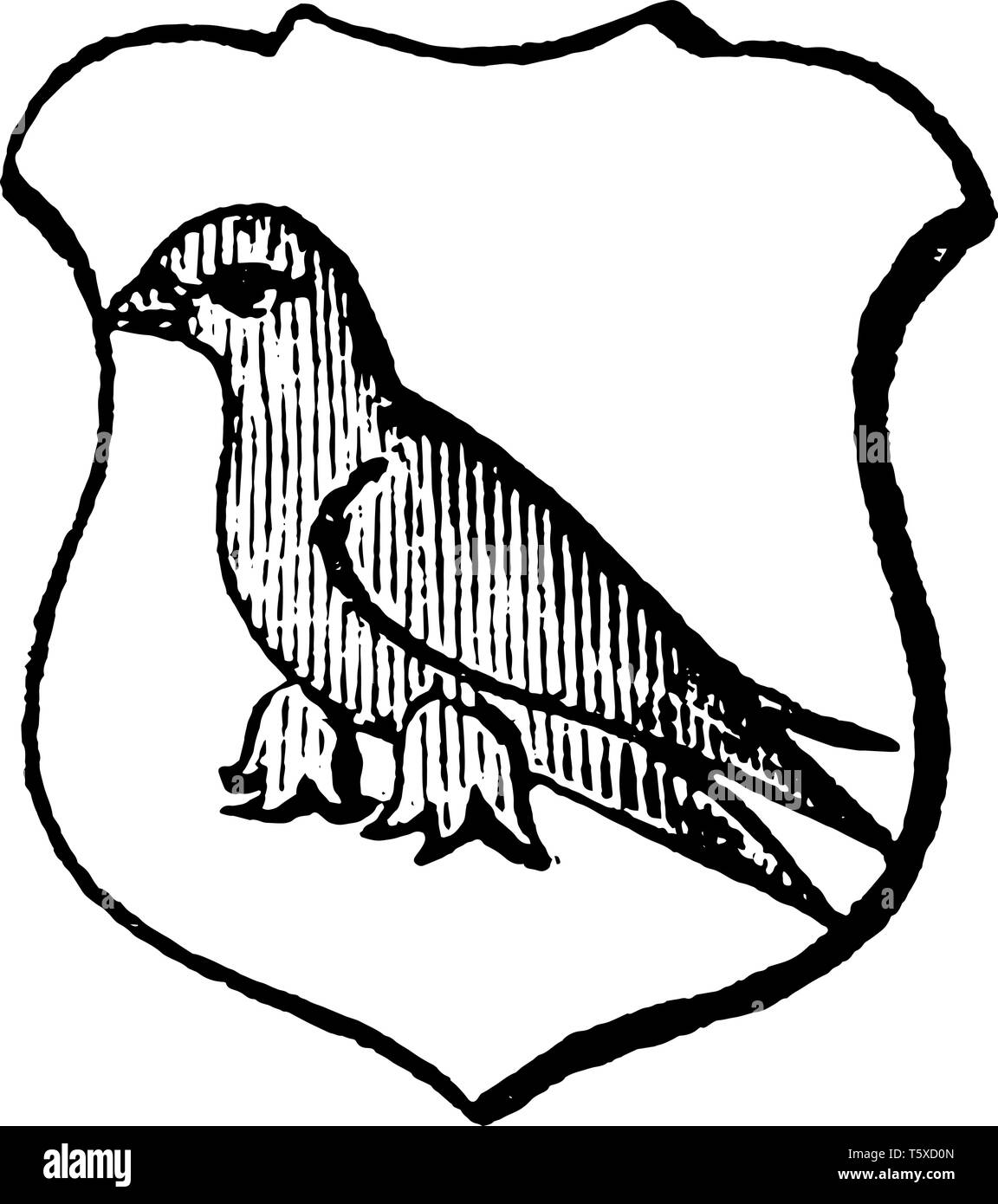 Martlet ist eine imaginäre Vogel sagte, ohne Beine, vintage Strichzeichnung oder Gravur Abbildung. Stock Vektor