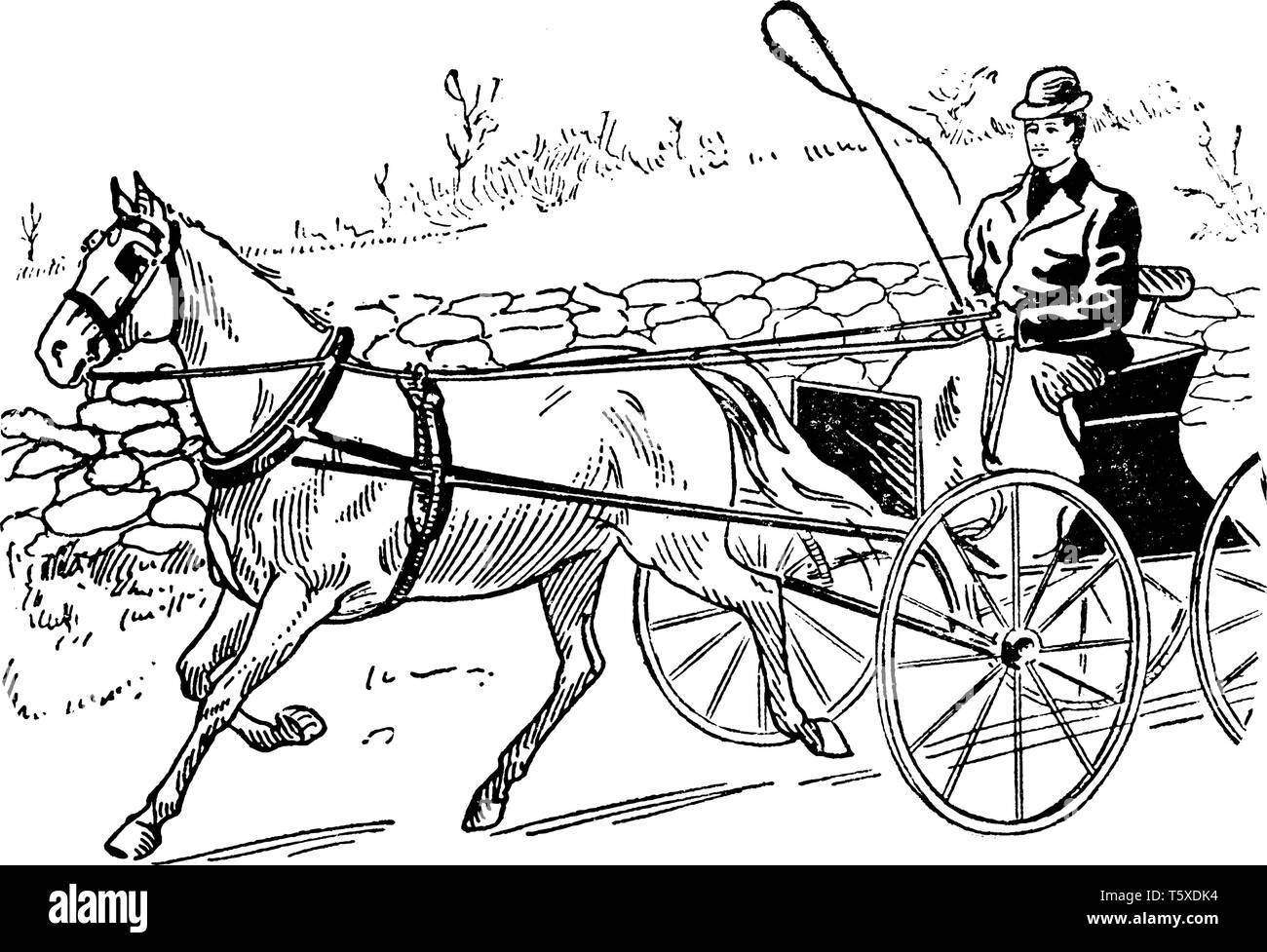 Kutsche, wo eine Kutsche von einem erwachsenen Mann angetrieben, vintage Strichzeichnung oder Gravur Abbildung. Stock Vektor