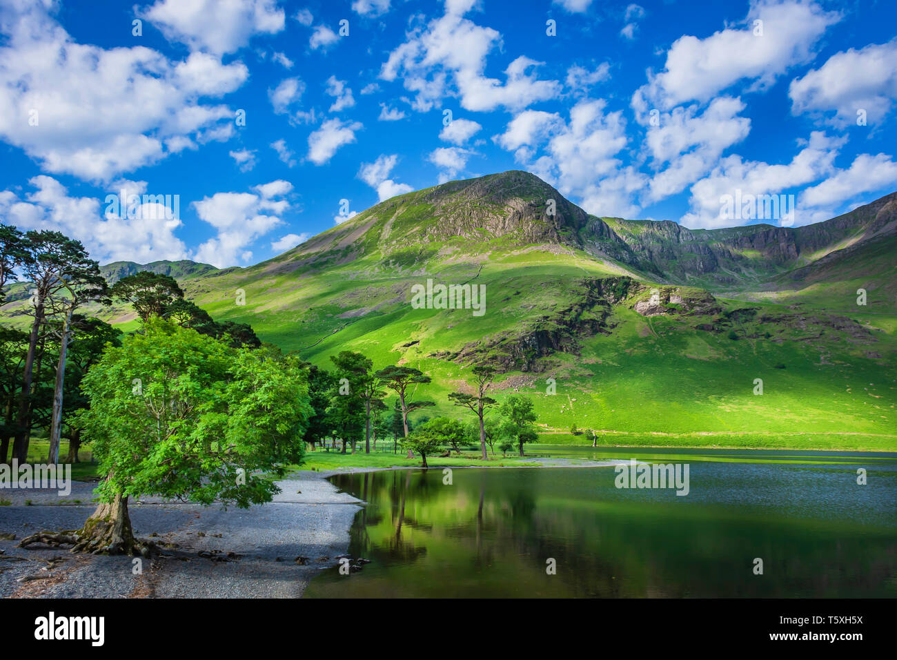 Die schöne Landschaft des englischen Lake District im Frühling. Baum am Seeufer, Berg mit grünen Hängen und blauer Himmel mit Wolken über. Stockfoto