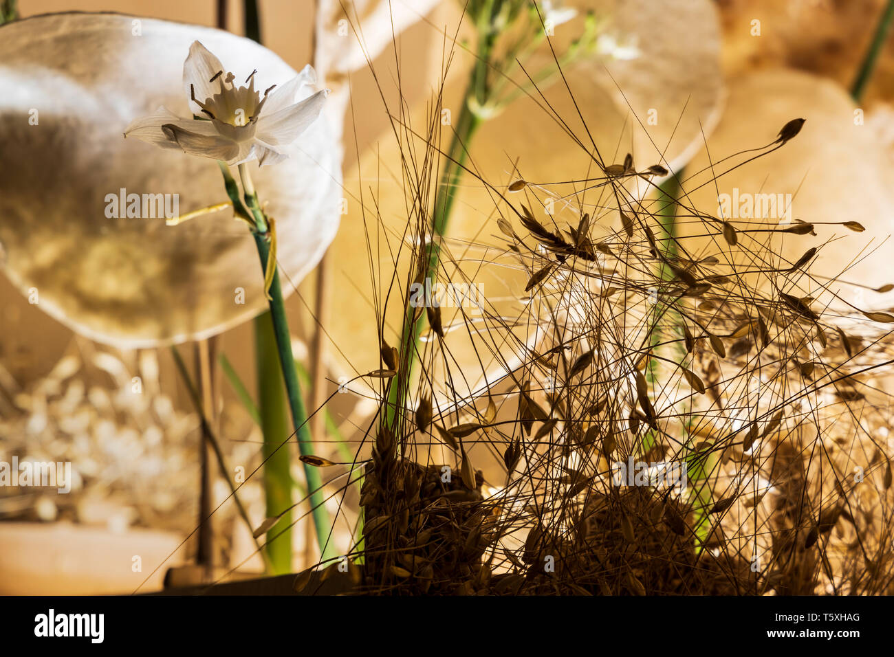 Florale Skulptur für Ostern, die die katholischen Traditionen der Stationen des Kreuzes am Karfreitag durchgeführt, jährliche Anzeige in Th Stockfoto
