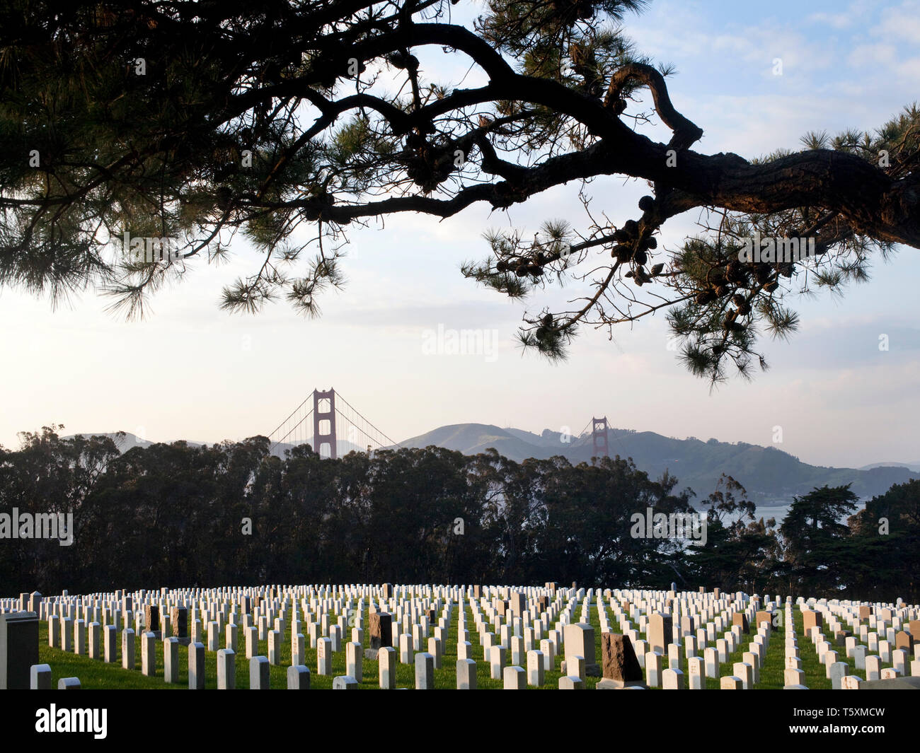 San Francisco Stockfoto