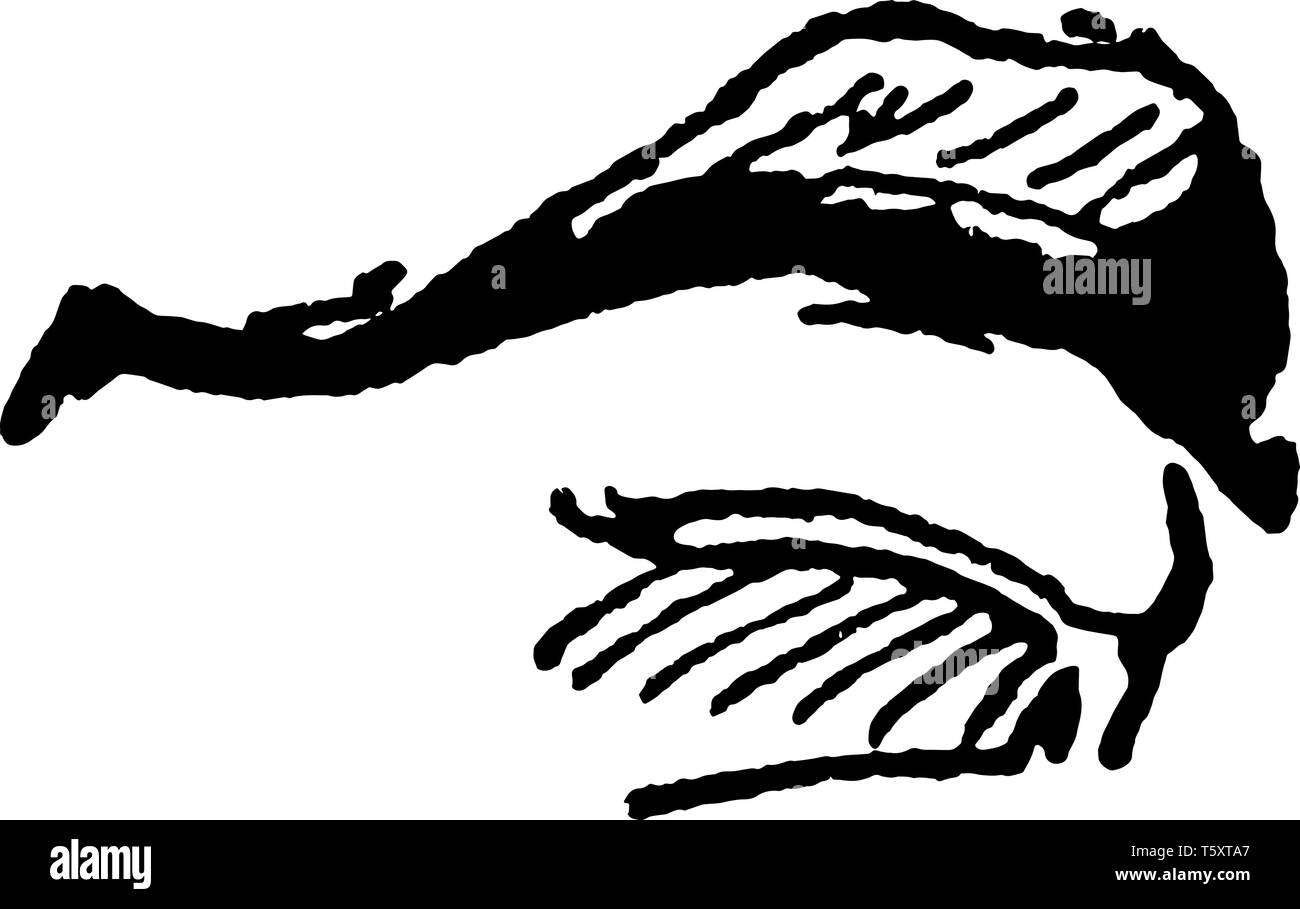 Eine Abbildung eines menschlichen Mund, vintage Strichzeichnung oder Gravur Abbildung. Stock Vektor
