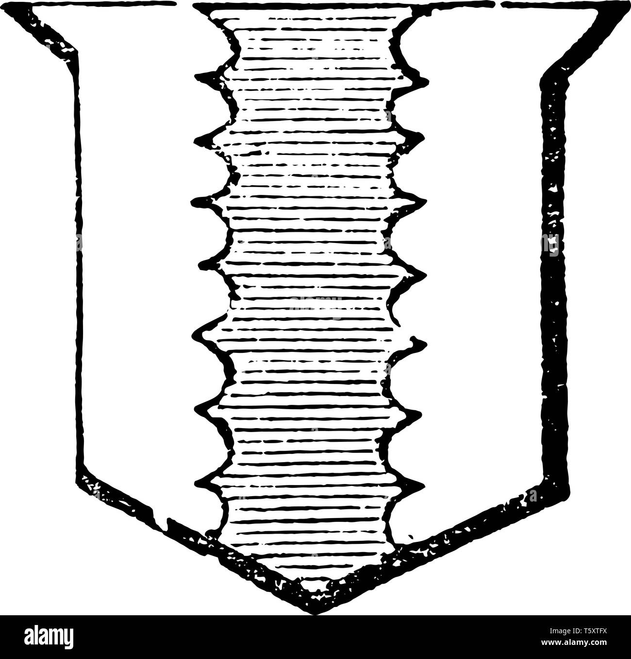 Blass Engrailed haben Objekt mit kleinen Halbkreisen, vintage Strichzeichnung oder Gravur Abbildung umrandet wird. Stock Vektor