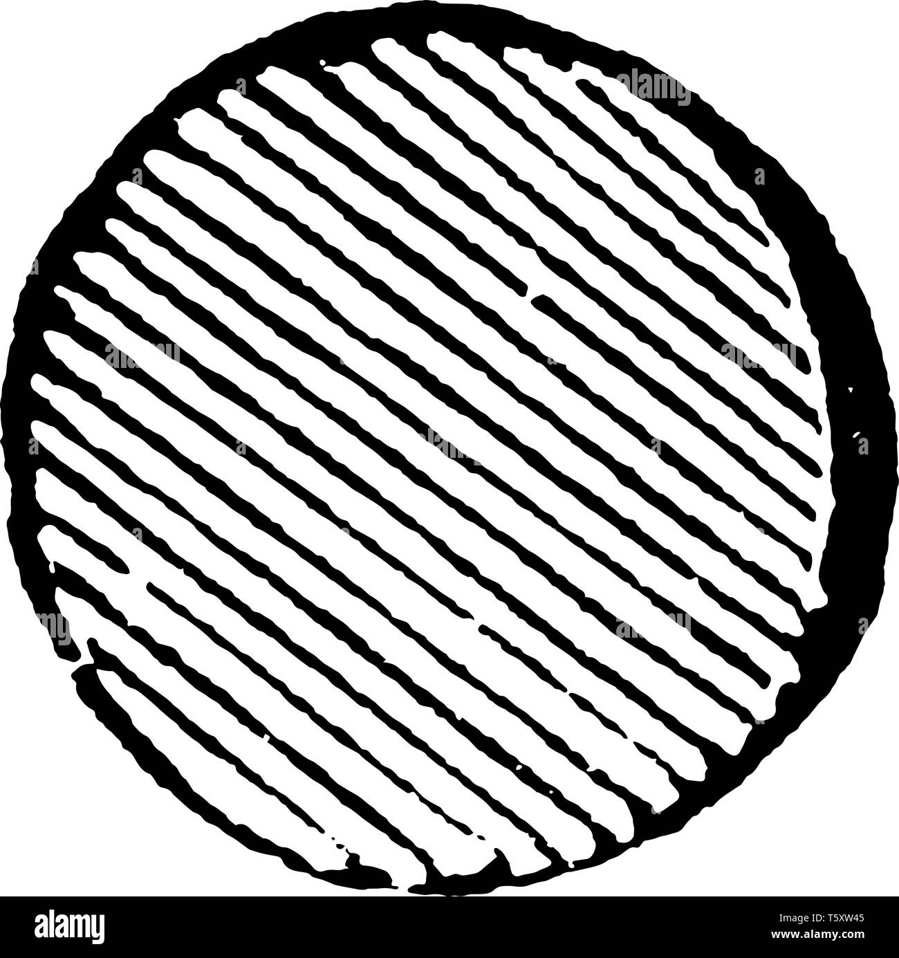 Roundlet Kernobst haben cross line Pattern, vintage Strichzeichnung oder Gravur Abbildung. Stock Vektor