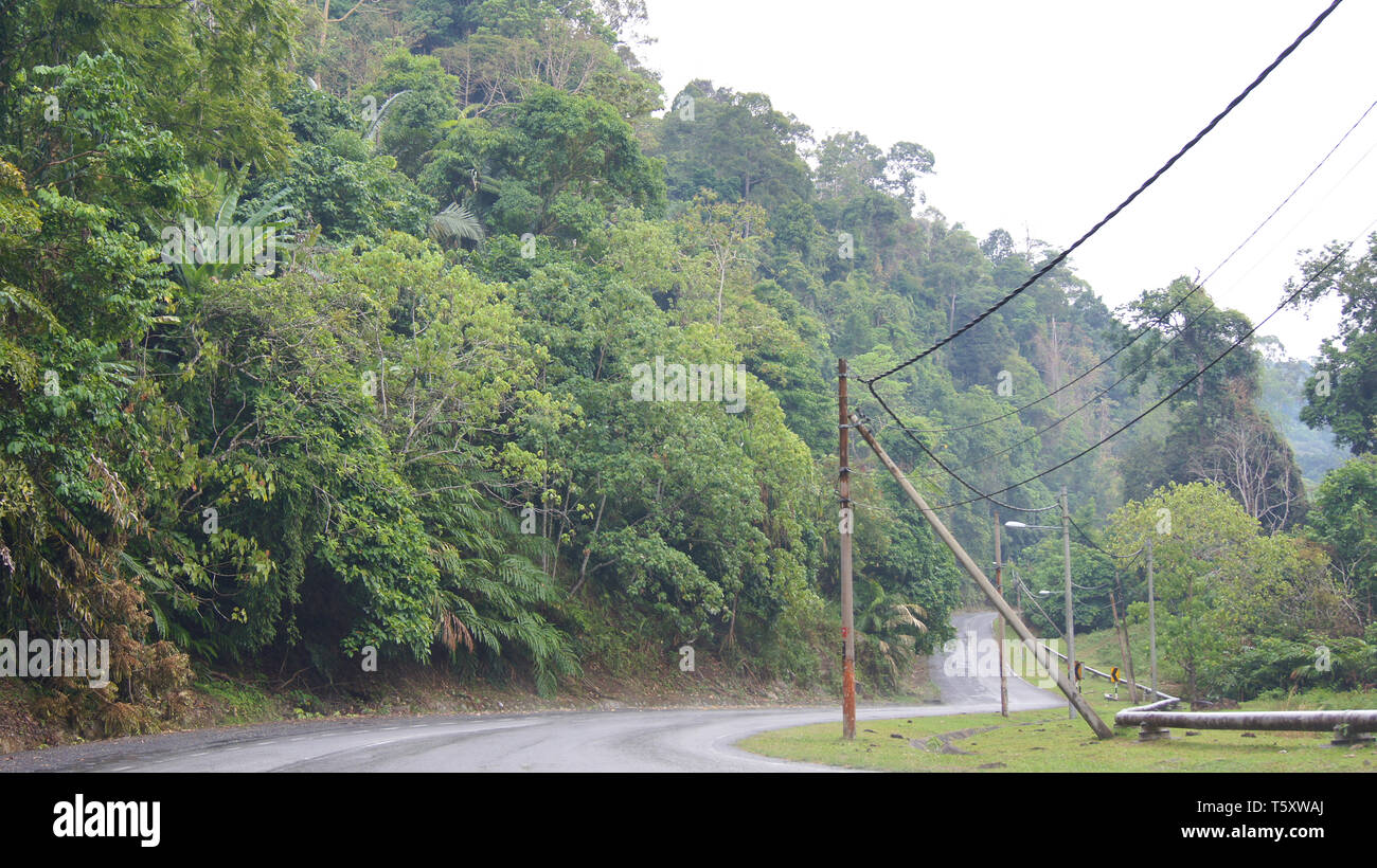 KEDAH, Langkawi, Malaysia - Apr 09, 2015: Spektakuläre Dschungellandschaft mit einem leeren Straße Stockfoto