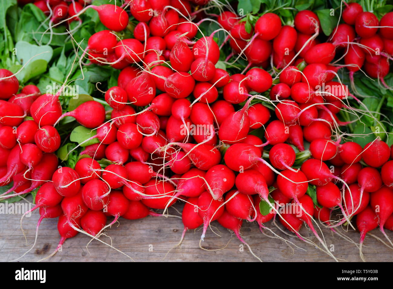 Frische rosa und weißen Rettich und Radieschen in der Farmers Market Stockfoto