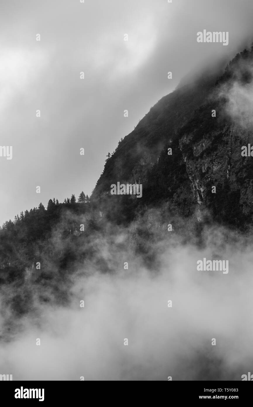 Schönen Berg Szene des Wettersteingebirges in Österreich in schlechtem regnerischen Wetter mit dramatisch und Mystic aufstand Nebel auf den Wald erfasst Stockfoto