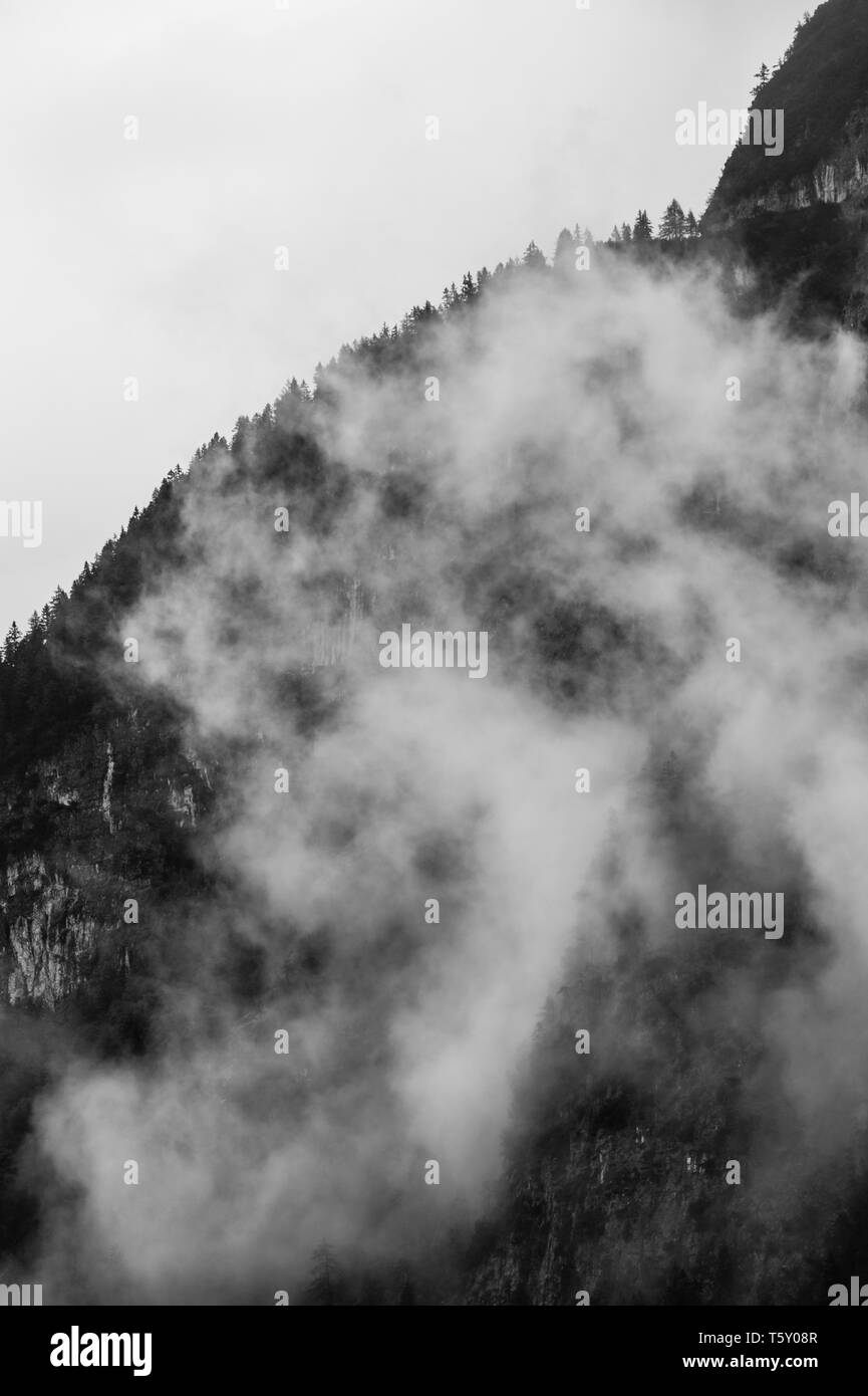 Schönen Berg Szene des Wettersteingebirges in Österreich in schlechtem regnerischen Wetter mit dramatisch und Mystic aufstand Nebel auf den Wald erfasst Stockfoto