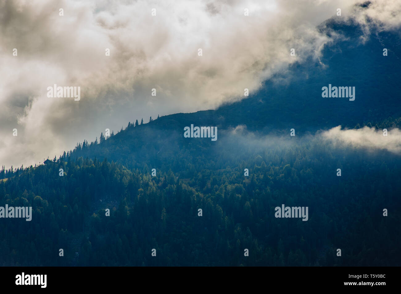 Schönen Berg Szene des Wettersteingebirges in Österreich in schlechtem regnerischen Wetter mit dramatisch und Mystic aufstand Nebel auf den Wald erfasst Stockfoto