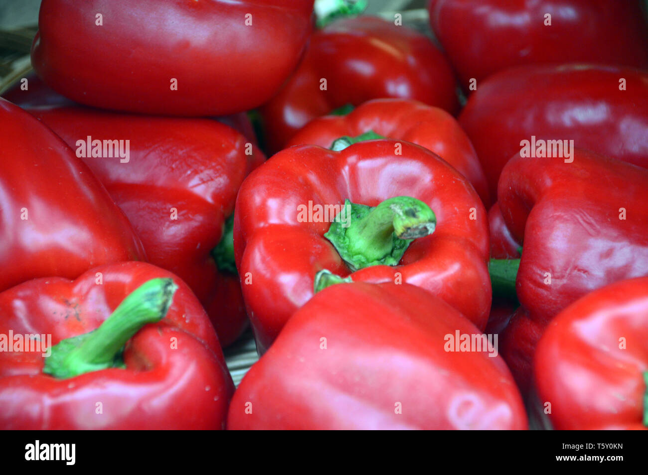 Leuchtend rote Paprika auf Anzeige in der Zentralen Markt in St. Helier, Jersey, Channel Islands, Großbritannien. Stockfoto