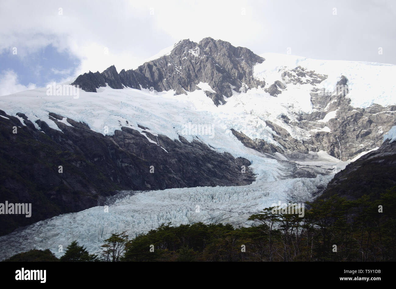 Das Serrano Gletscher, mit der Darwin eis Feld jenseits, von einem Chile fjord gesehen Stockfoto