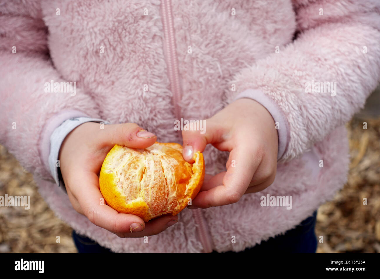 Ein junges Mädchen, das Peeling ein Satsuma. Ein gesunder Snack für ein Kind und eine Ihrer fünf am Tag Obst Stockfoto