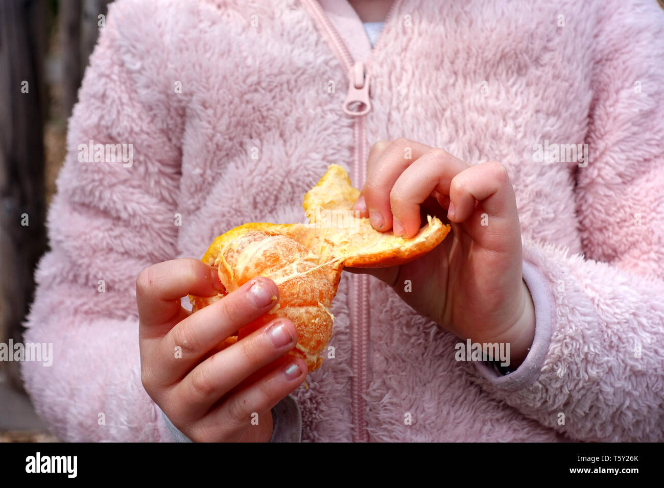 Ein junges Mädchen, das Peeling ein Satsuma. Ein gesunder Snack für ein Kind und eine Ihrer fünf am Tag Obst Stockfoto