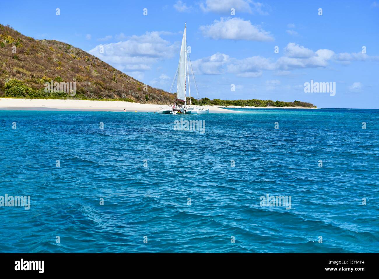 Segelboot bei Buck Island, St. Croix, United States Virgin Islands angedockt Stockfoto