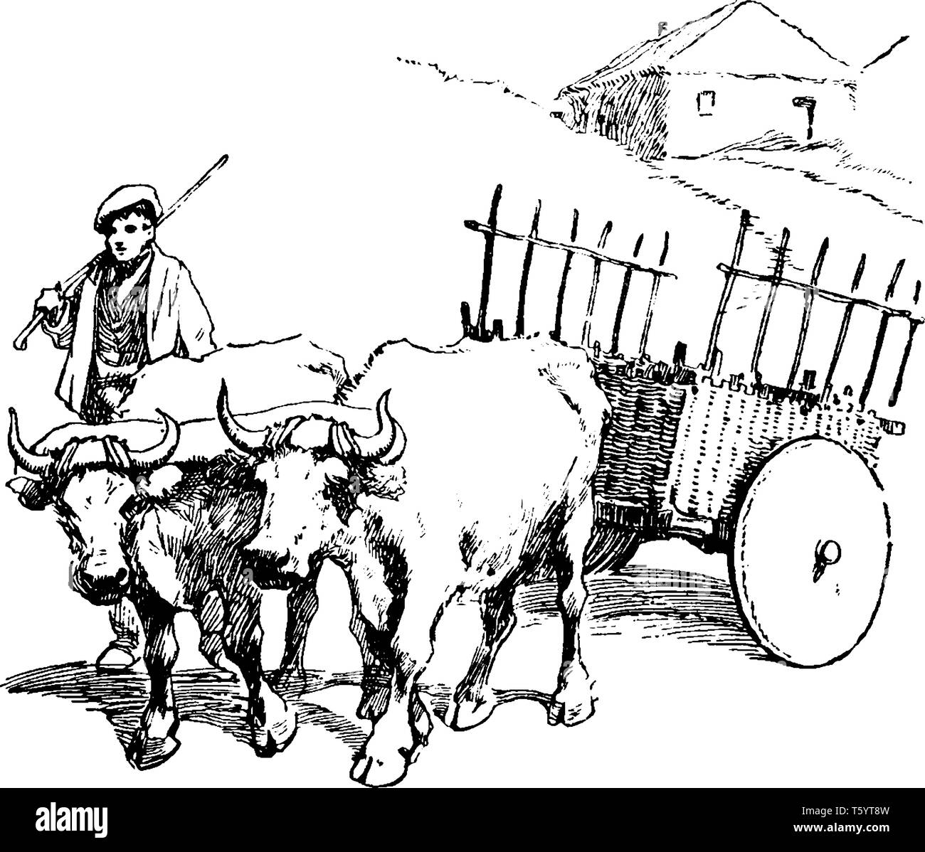 Warenkorb ist ein Fahrzeug für den Transport mit zwei Rädern konzipiert und in der Regel von einer oder ein paar Entwurf Tiere zogen, vintage Strichzeichnung oder Gravur ich Stock Vektor Warenkorb ist ein Fahrzeug für den Transport mit zwei Rädern konzipiert und in der Regel von einer oder ein paar Entwurf Tiere zogen, vintage Strichzeichnung oder Gravur ich Stock Vektor