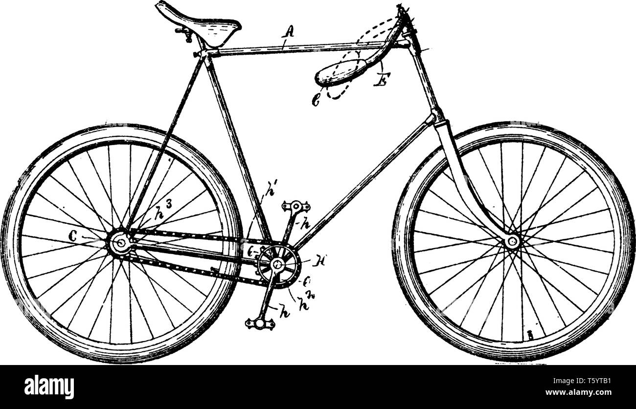 Multi Purpose Fahrrad ist ein Pedal driven human powered Single Track Fahrzeug mit zwei Rädern zu einem Rahmen befestigt, vintage Strichzeichnung oder Gravur il Stock Vektor