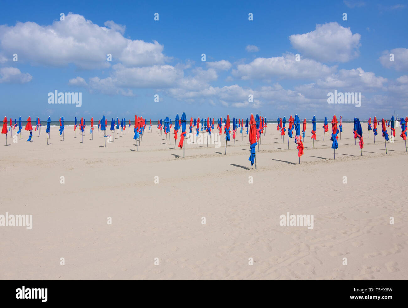 Berühmten bunten blauen und roten Sonnenschirme am Strand von Deauville, Normandie, Frankreich. Sonnenschirme am Strand von Deauville. Stockfoto