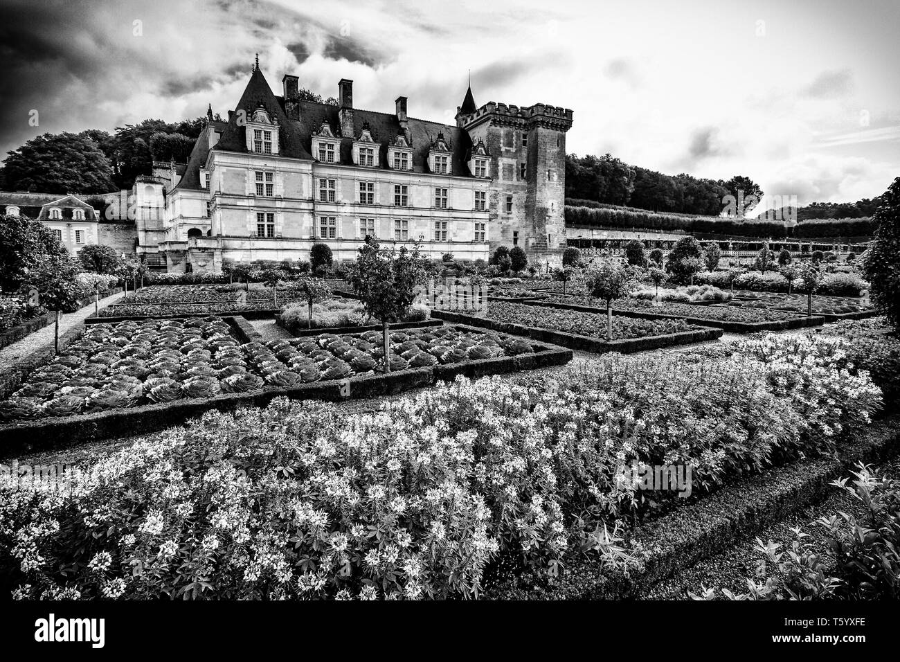 Schwarz-weiß Foto von Schloss Villandry und seinen "Gärten in Frankreich. Stockfoto