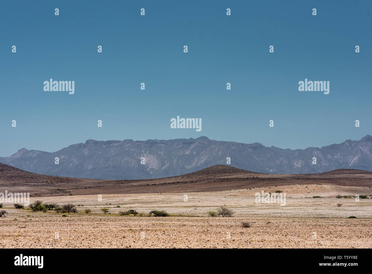 Brandberg Berg unter einem blauen Himmel, mit Dürren und Sandy im Vordergrund. Namibia Stockfoto