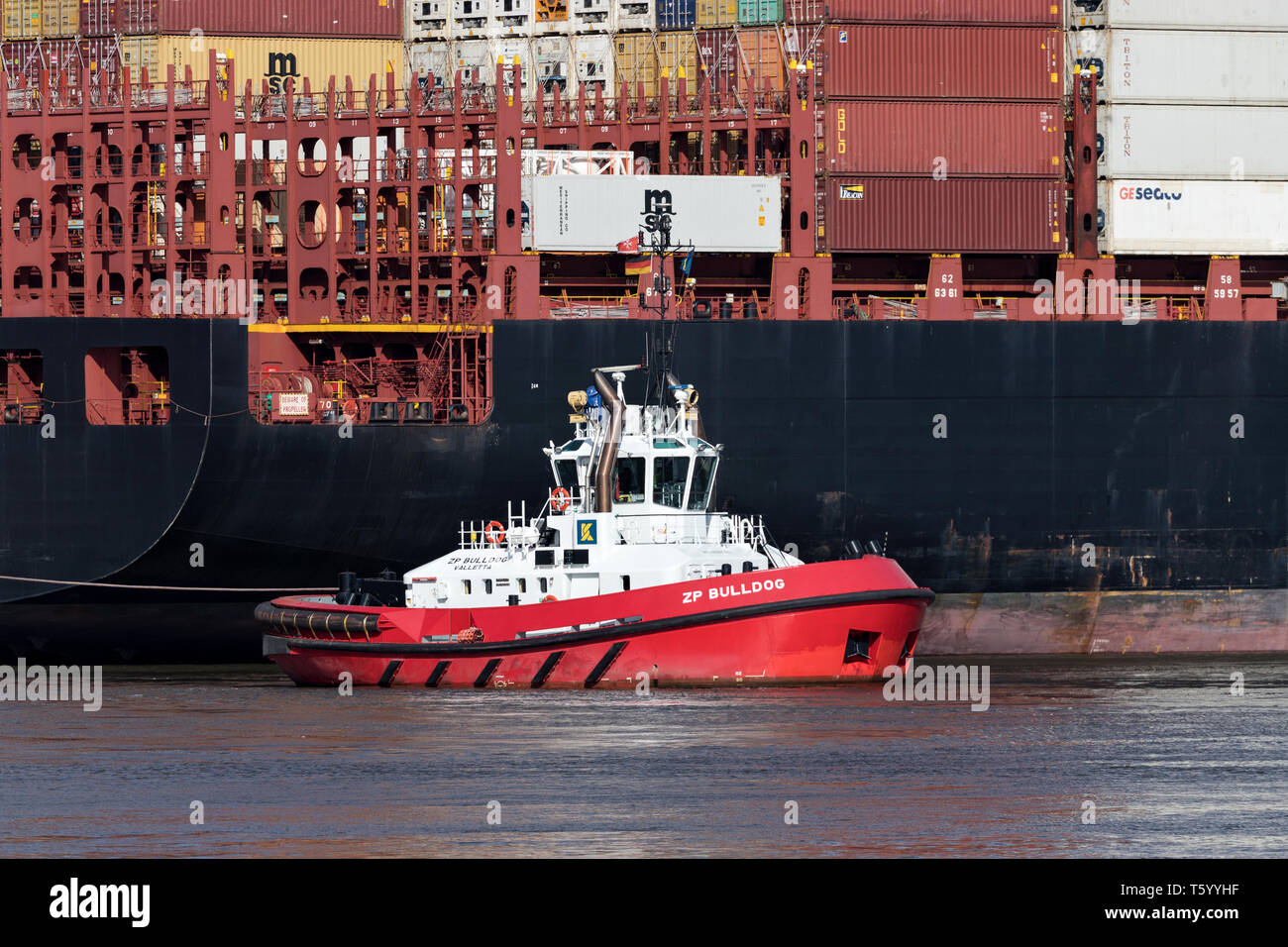 Tugboat ZP BULLDOG von Kotug Smit. Kotug Smit betreibt 70 Schleppern in 12 europäischen Häfen. Stockfoto