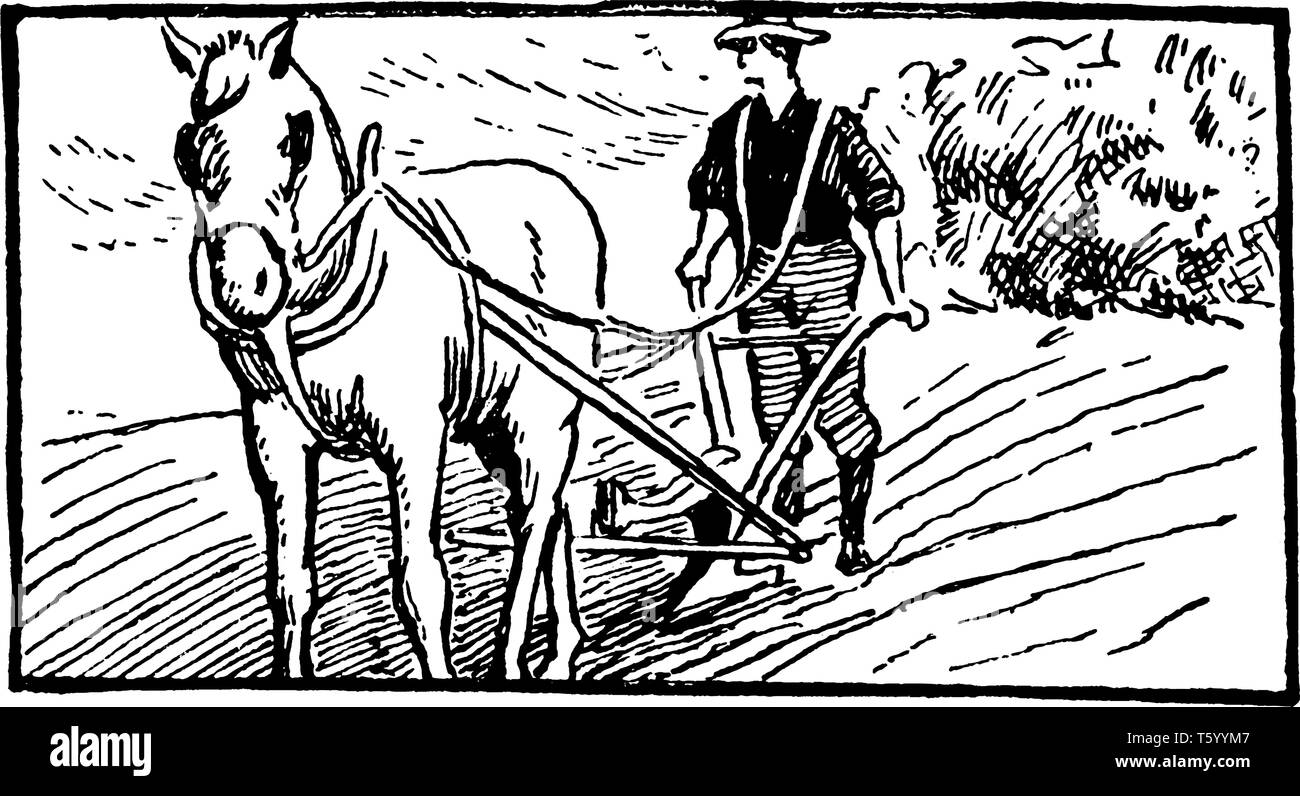 Ein Mann ein Feld pflügen mit Pferd und Pflug, vintage Strichzeichnung oder Gravur Abbildung Stock Vektor
