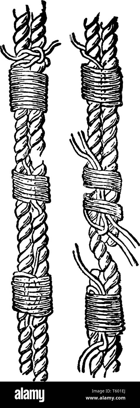 Festfressen wird eine Klasse von Knoten verwendet, die die zwei Teile des gleichen Seil oder auf ein anderes Objekt, vintage Strichzeichnung oder Gravur Abbildung. Stock Vektor