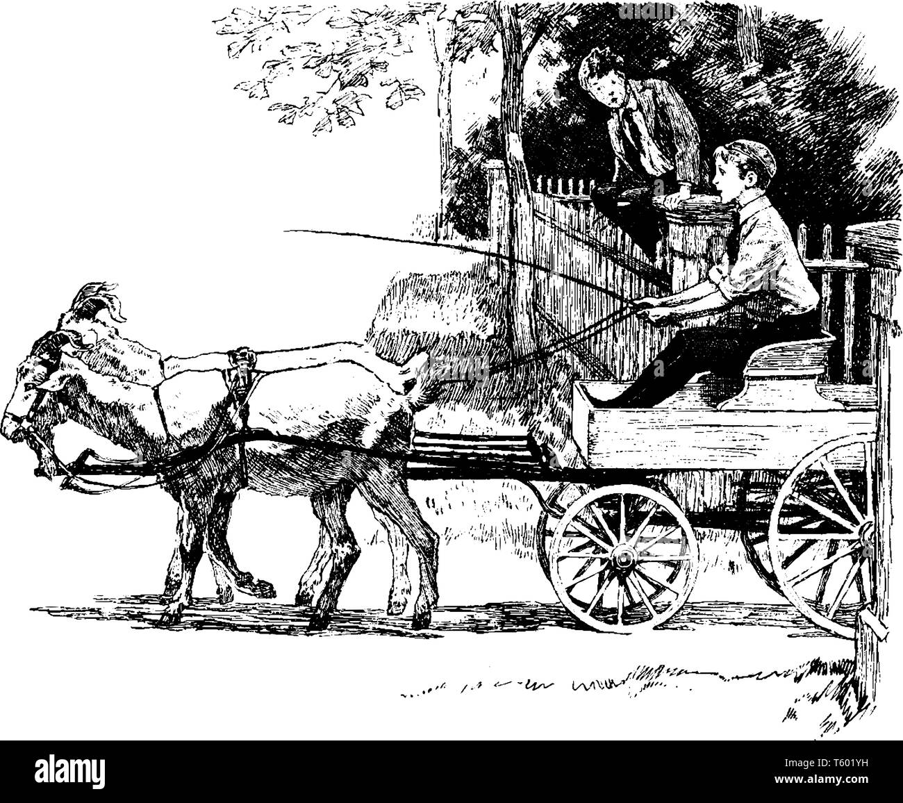 Ziege gezeichnet Trainer wo ein Junge, ein Trainer führen durch Ziegen anstelle von Pferden, vintage Strichzeichnung oder Gravur Abbildung. Stock Vektor