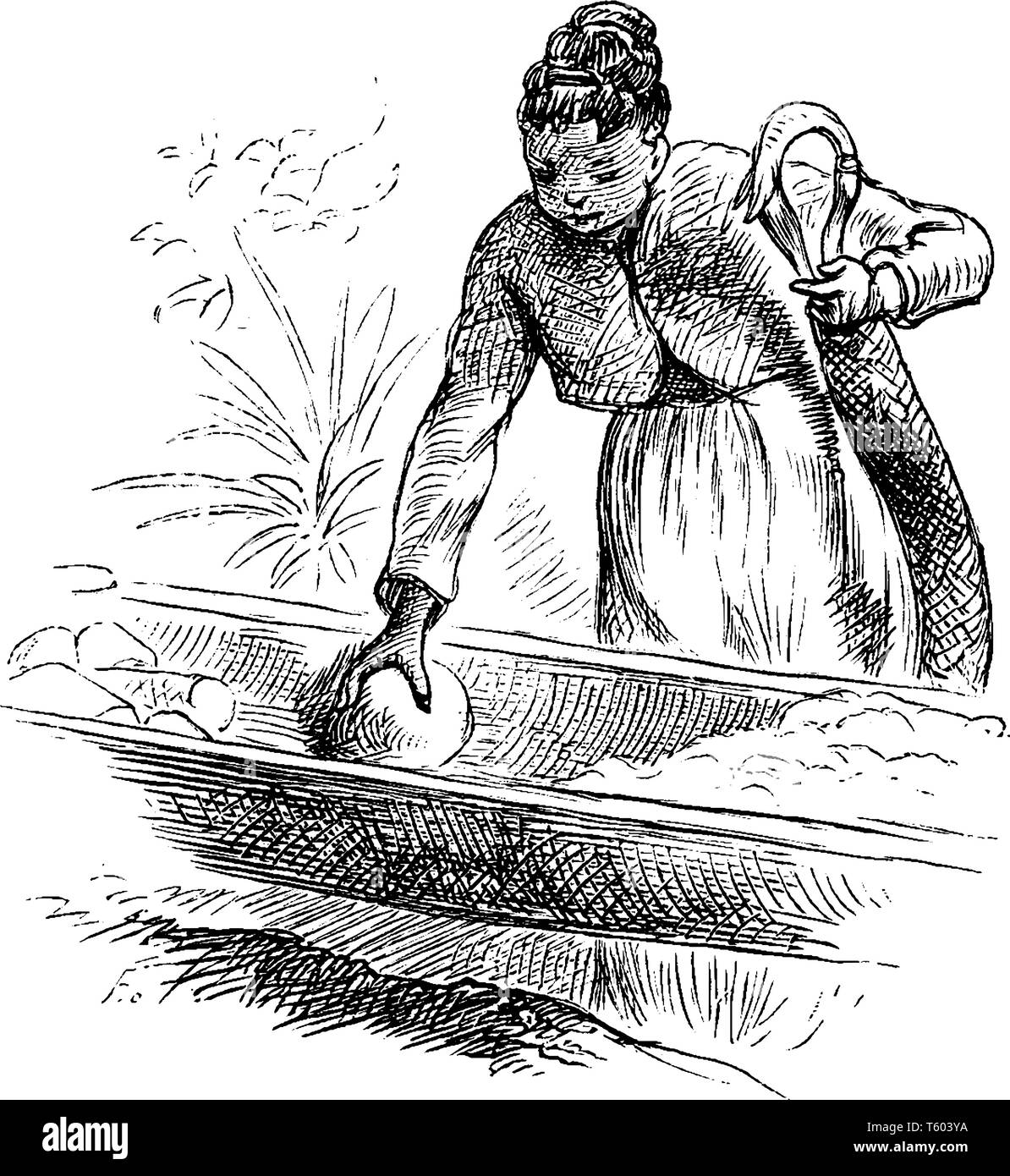 Eine Frau ein geflochtener Zylinder verwendet die Blausäure aus den geriebenen 888 Zellstoff zu quetschen, vintage Strichzeichnung oder Gravur Abbildung Stock Vektor