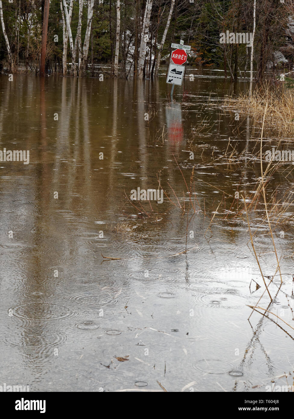 Quebec, Kanada. Frühjahr Hochwasser zwingt die Schließung von st-patrick Straße in Rawdon Stockfoto