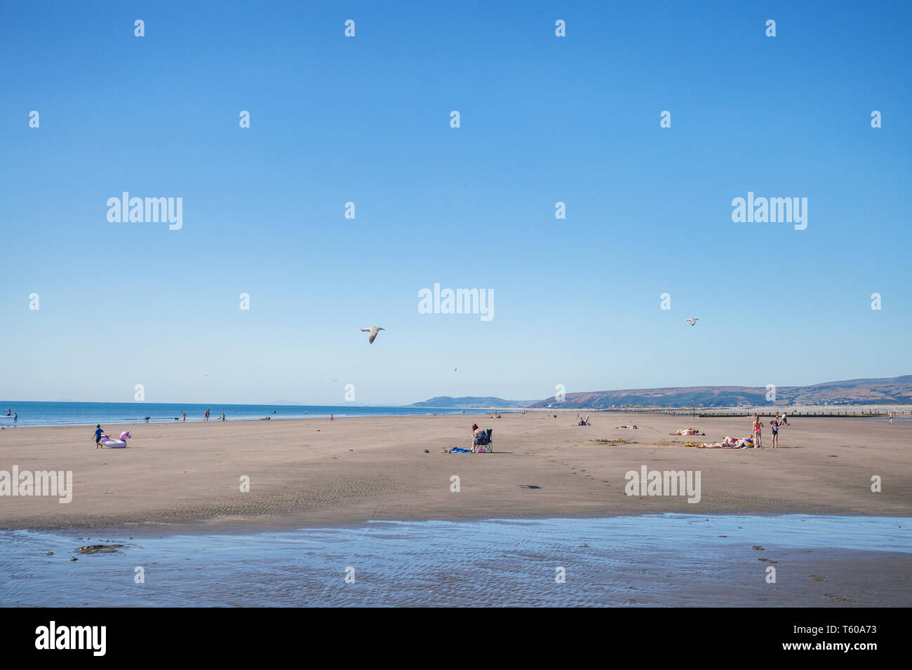 Ynyslas Sandstrand bei Ebbe im Sommer. In Wales, Vereinigtes Königreich Cardigian Stockfoto