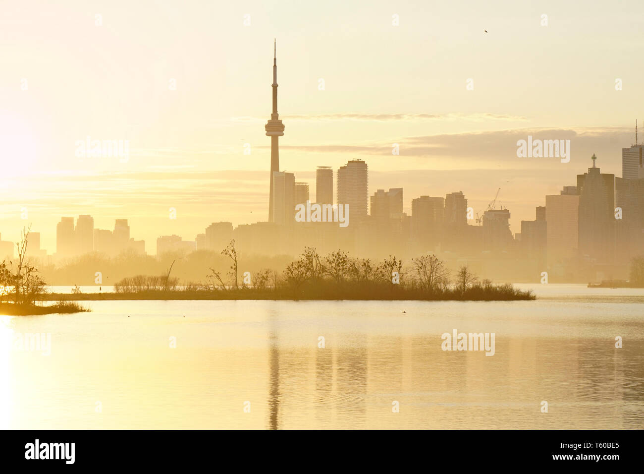 Toronto waterfront Skyline im Nebel Sonnenuntergang mit Kormoran vogel Kolonie in Tommy Thompson Park in der Mitte. Stockfoto