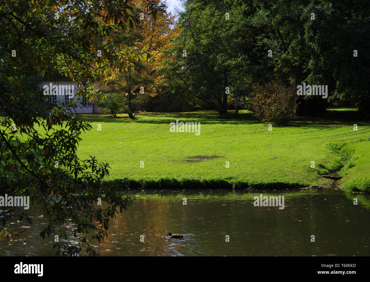 Der teichwiese Stockfotos und bilder Kaufen Alamy