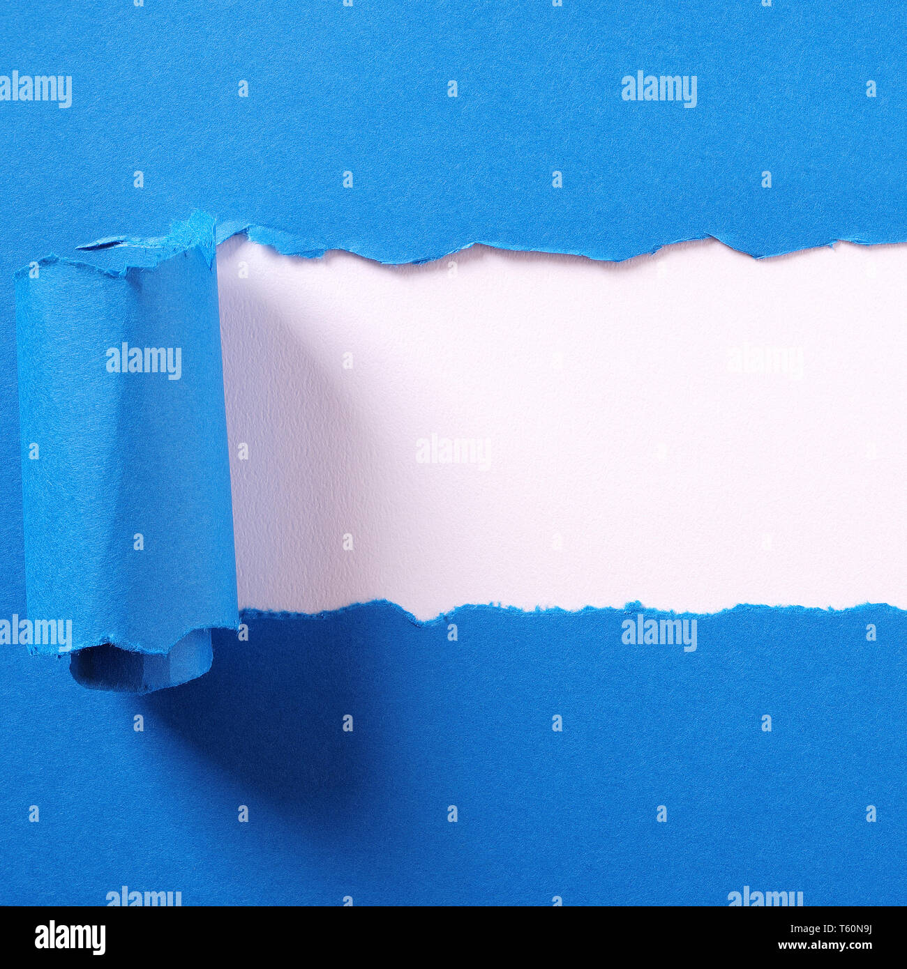 Zerrissen blaue Streifen Papier gewellte Rand Grenze weißen Hintergrund Stockfoto