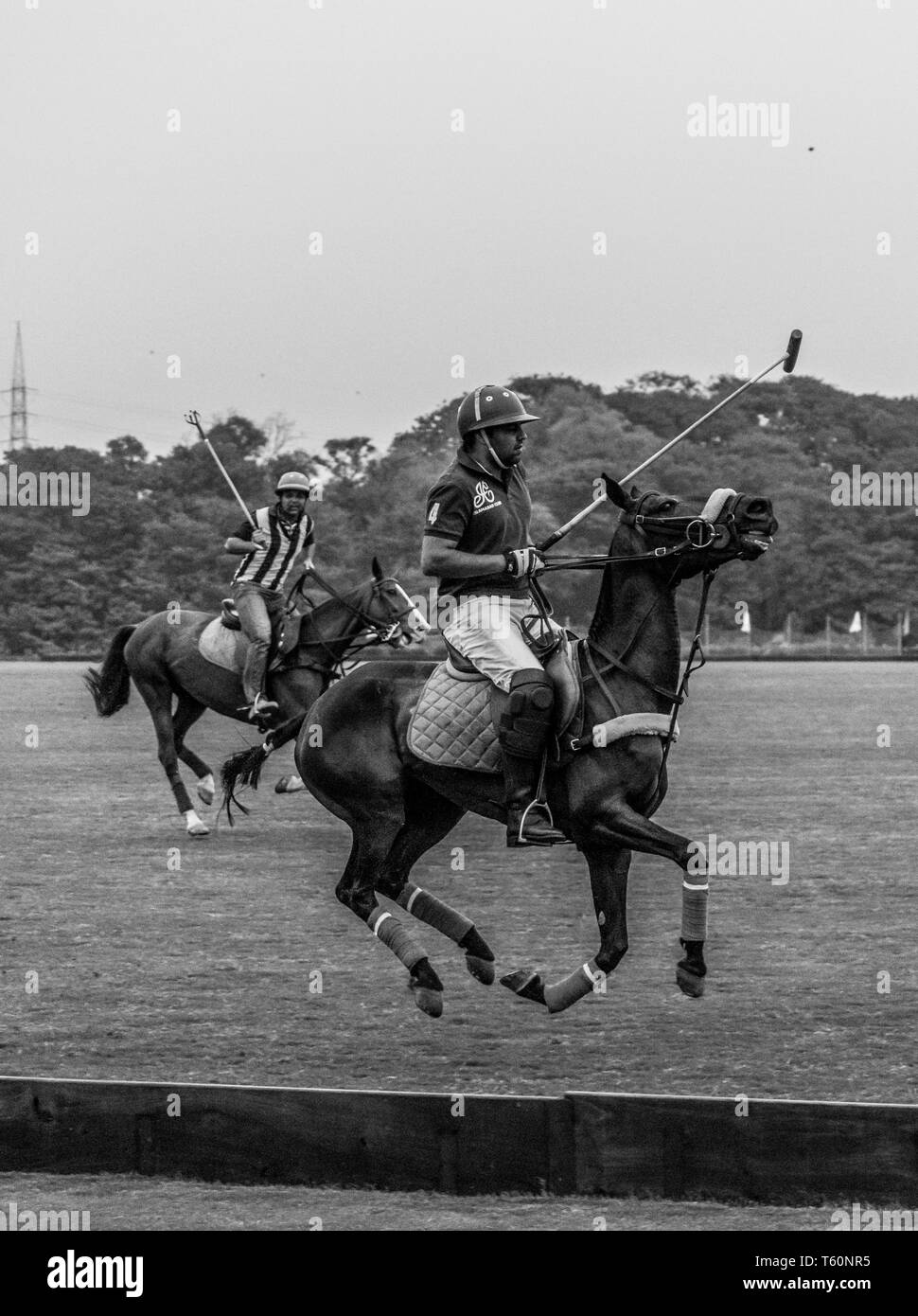 Die Spieler spielen ein Polo Match in einem Polo Boden auf ein grünes Feld Stockfoto