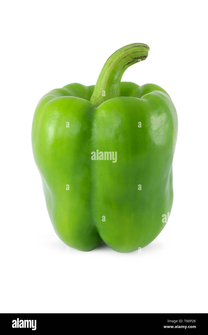 Grüne Paprika auf weißem Hintergrund Stockfoto