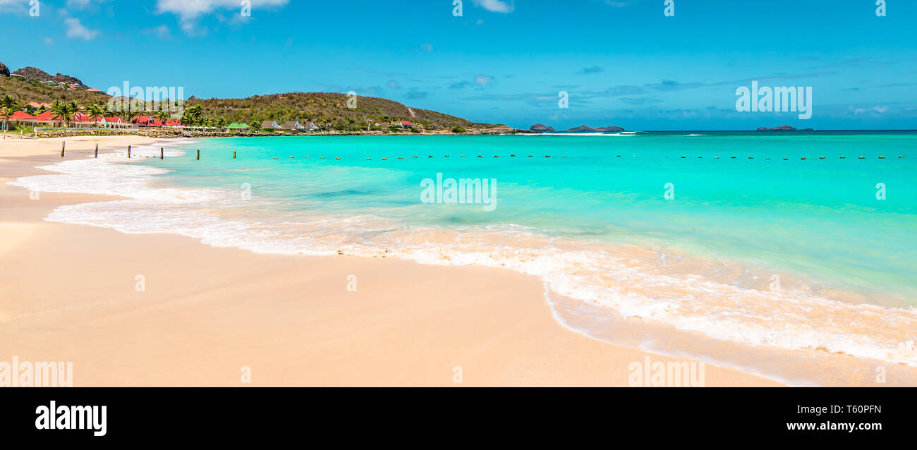 Panoramablick auf den schönen weißen Sandstrand in St. Barts (Saint Barthelemy), Karibik Stockfoto
