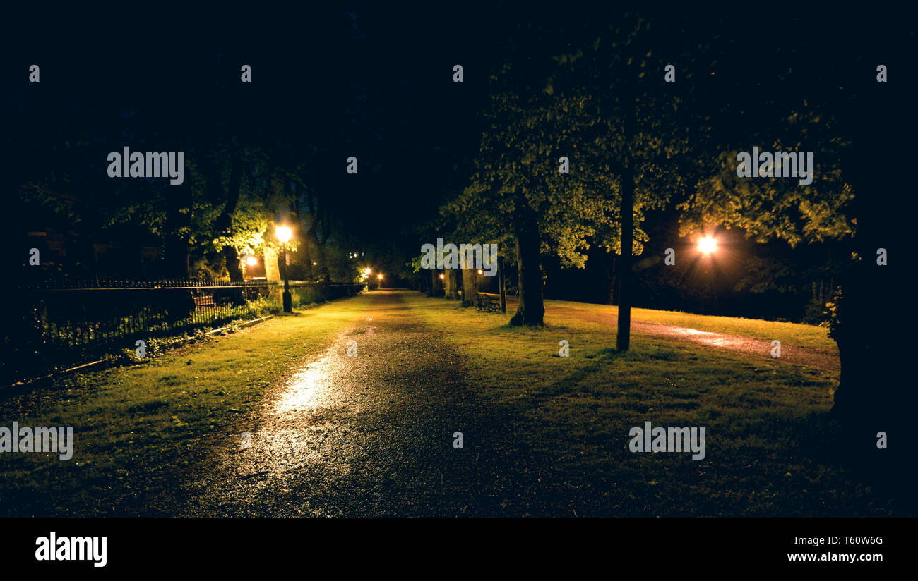Park in der Nacht Stockfoto