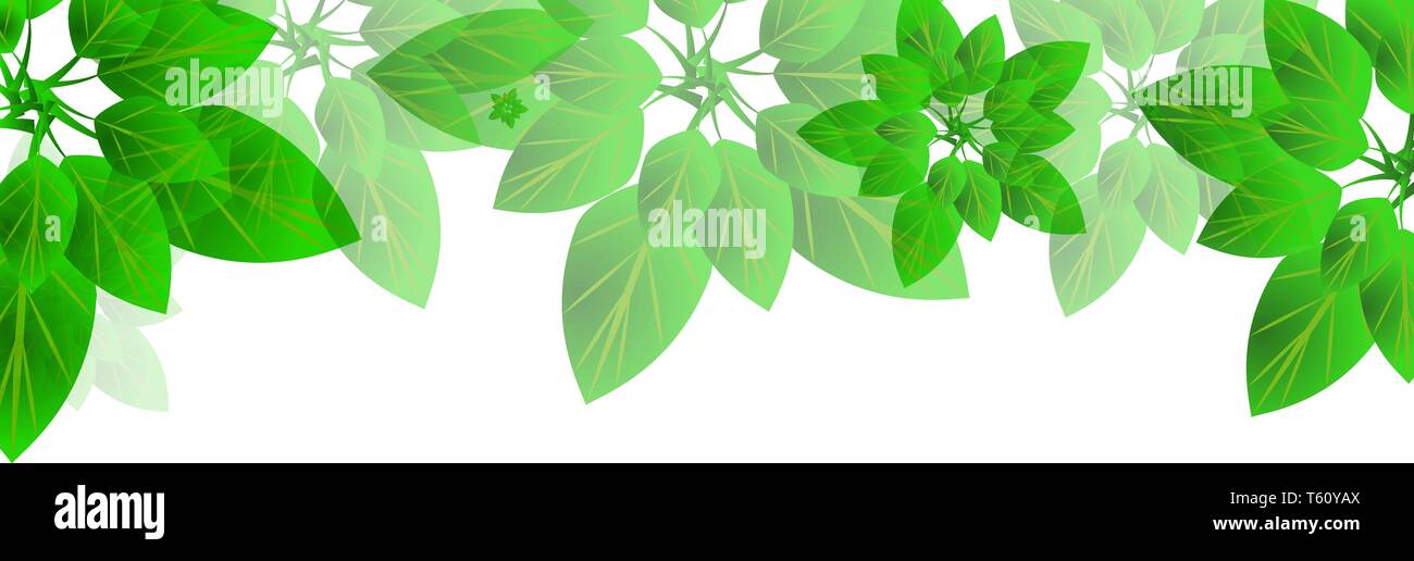 Sommer oder Frühling Blätter banner Vektor Konzept Stock Vektor