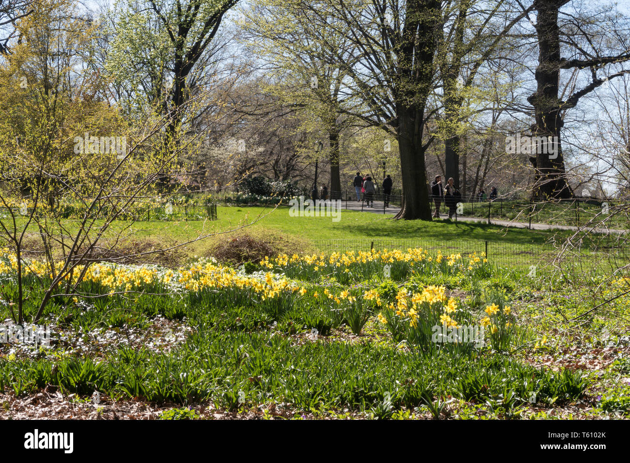 Der Central Park ist schön im Frühling, NYC, USA Stockfoto