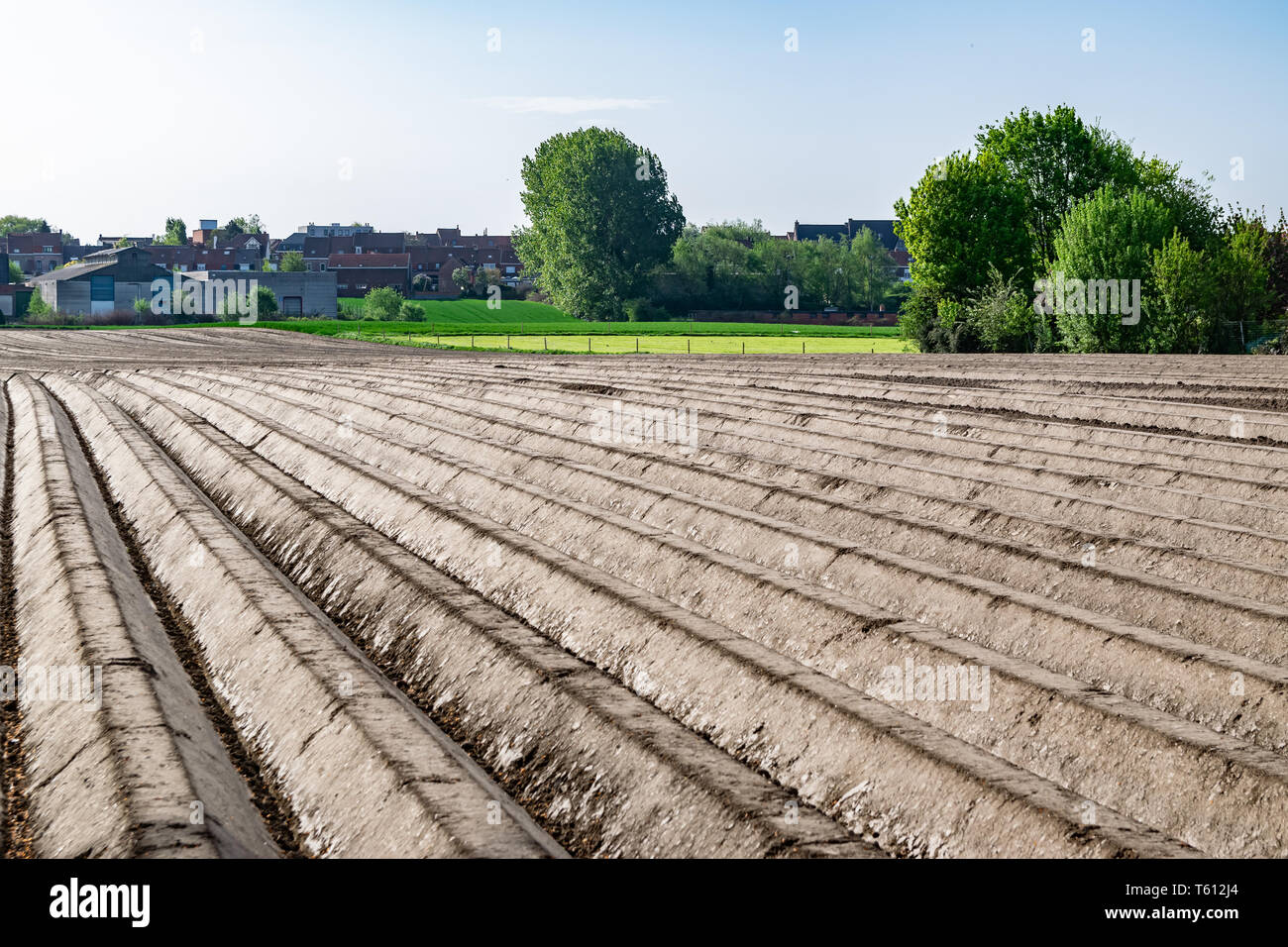 Feld, Bauernhof, den Anbau und die landwirtschaftliche Konzept: Blick in den Furchen des Feldes auf dem Bauernhof, für die Anpflanzung von Gemüse zubereitet. Stockfoto