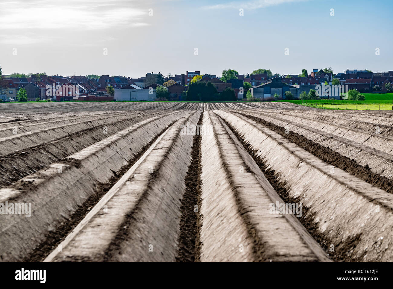 Feld, Bauernhof, den Anbau und die landwirtschaftliche Konzept: Blick in den Furchen des Feldes auf dem Bauernhof, für die Anpflanzung von Gemüse zubereitet. Stockfoto