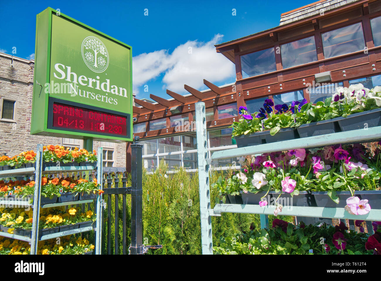 Toronto, Kanada - 25 April 2018: Blume Sheridan Baumschule an der Yonge Street, die Blumen, Blumentöpfe und Garten Pflanzen Stockfoto