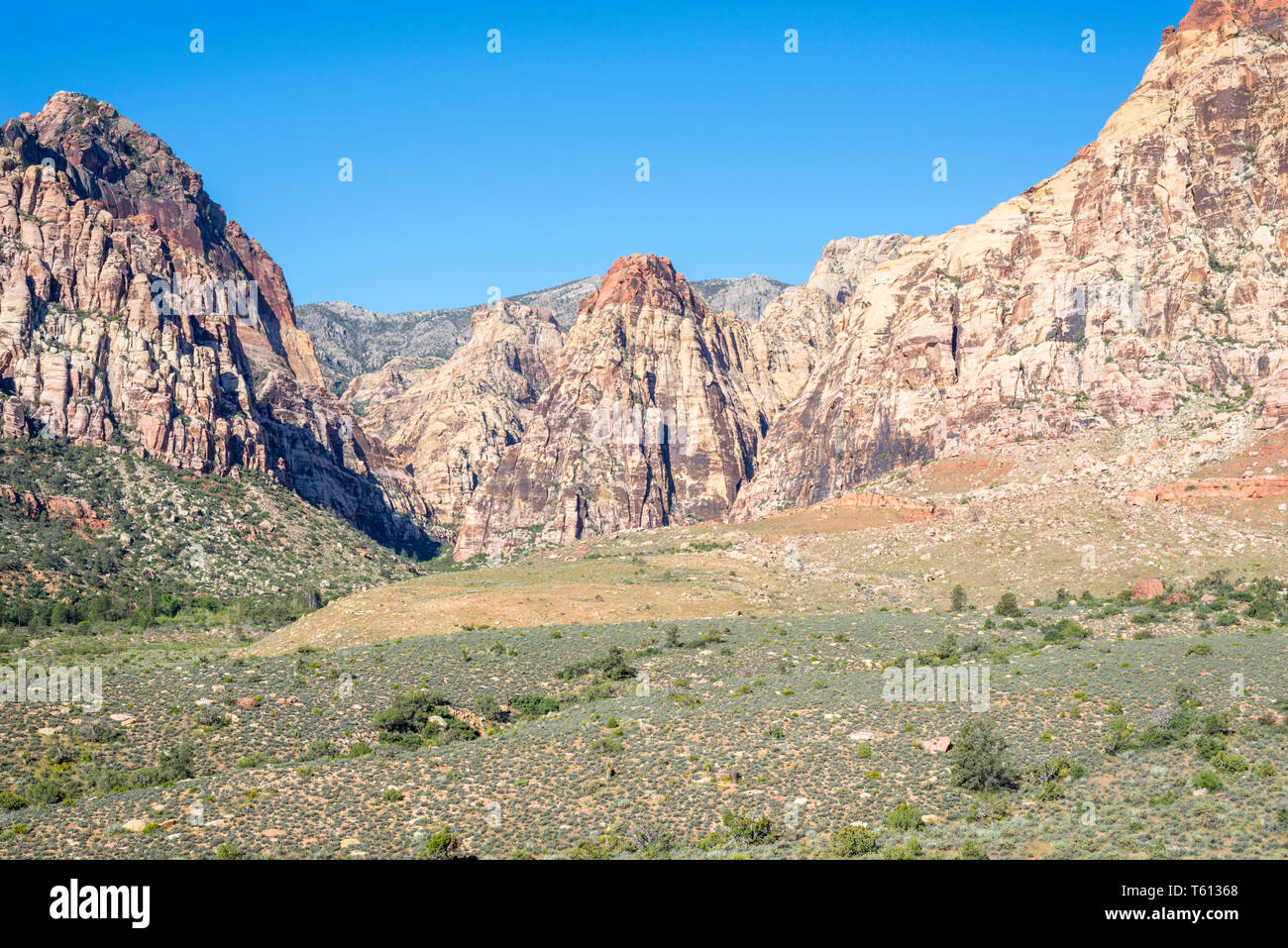Natur Landschaft im Red Rock Canyon National Conservation Area. Las Vegas, Nevada, USA. Stockfoto