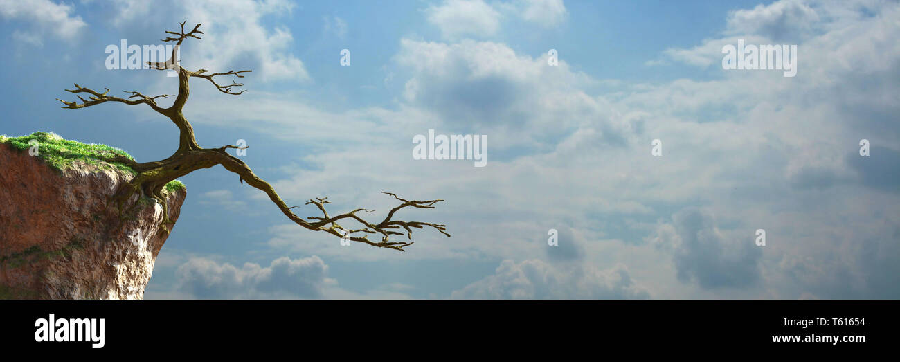 Alter Baum wächst auf einem Felsen, märchenhaften Landschaft mit leerer Raum, Fantasy 3D-Render Hintergrund banner Stockfoto