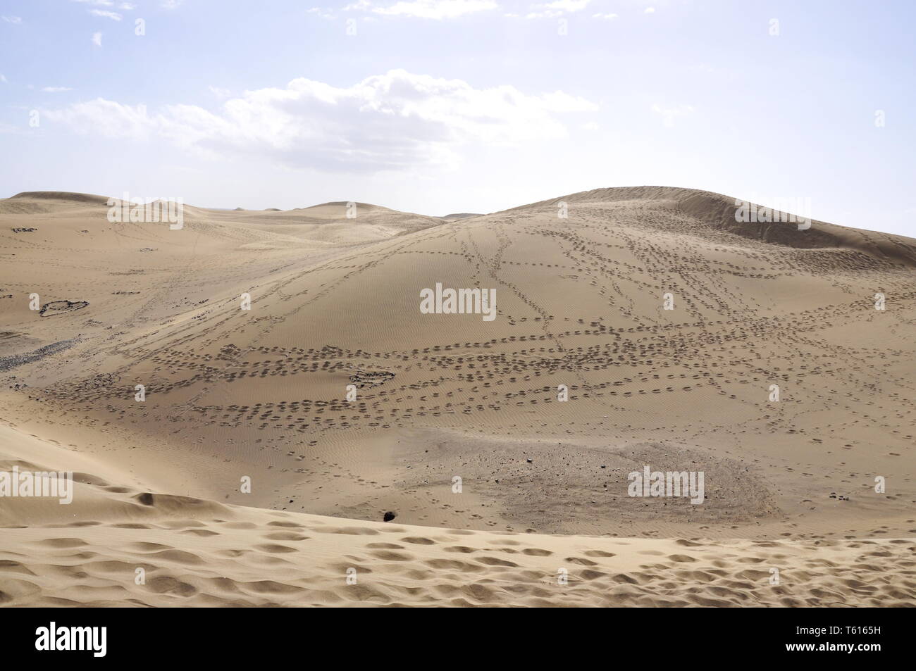 Fußabdrücke auf Sanddünen in der Wüste von Maspalomas auf Gran Canaria Stockfoto