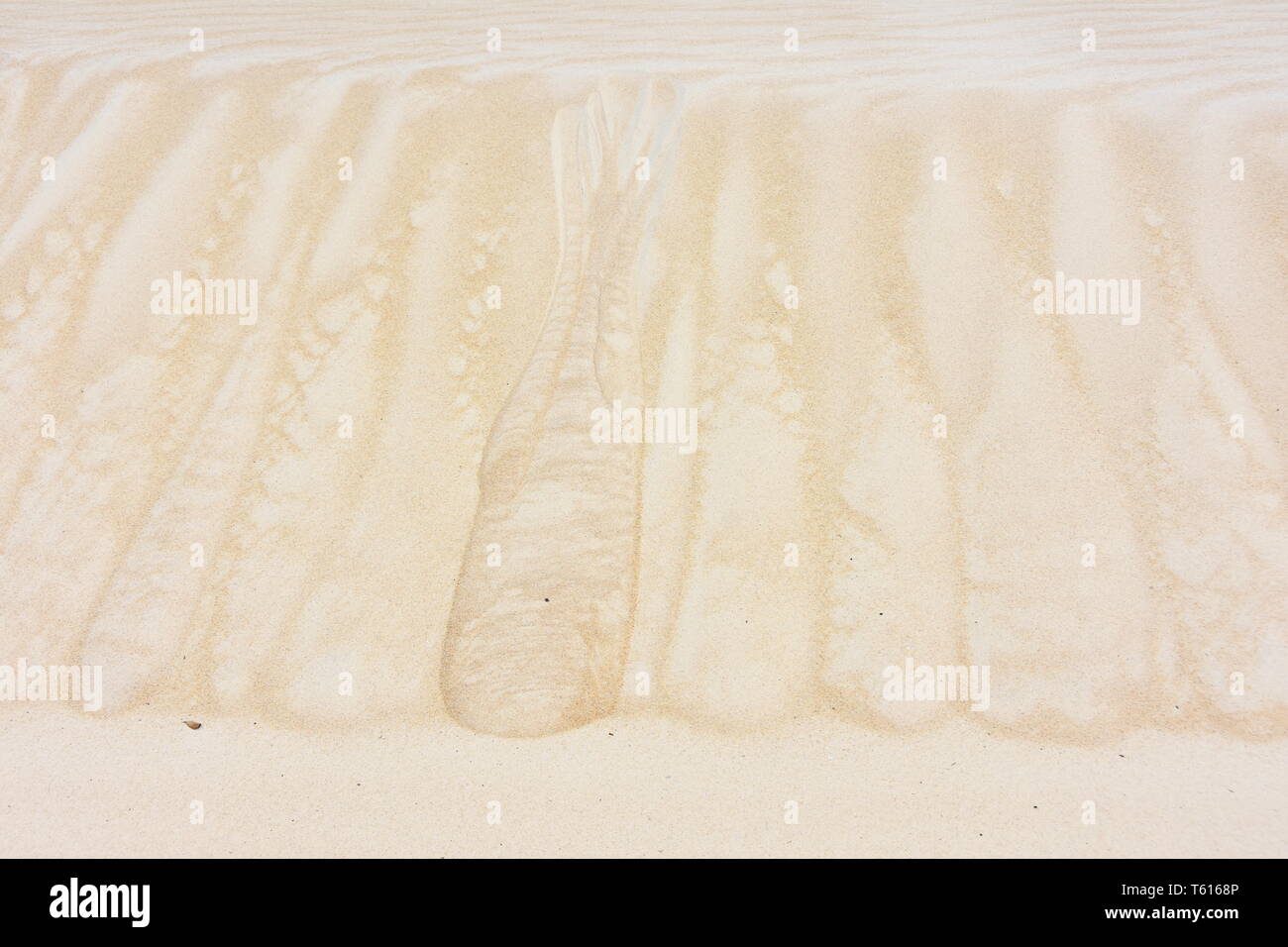 Gestreifte welligkeit Muster auf einer Sanddüne Stockfoto